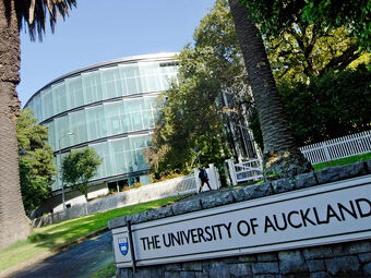 University of Auckland